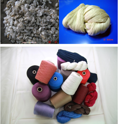  资讯中心 科技资讯绢纺织物不同于一般真丝绸,它是将废茧及废丝